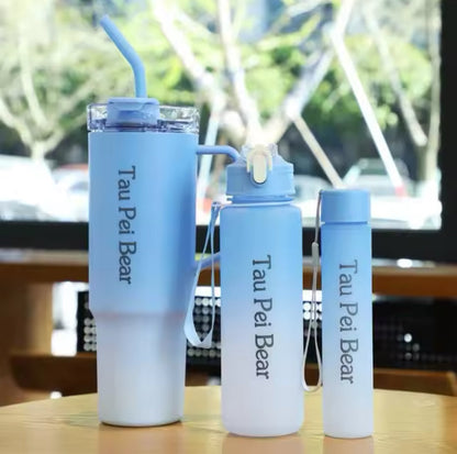 BPA-free plastic water bottles